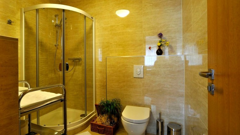 Modern bathroom with shower, WC and plants.