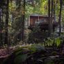 A modern tree house in a dense forest, surrounded by tall trees and green foliage.