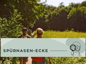 Sp&uuml;rnasenrunden Baden, &copy; Wienerwald Tourismus GmbH / Tourismus der Stadtgemeinde Baden