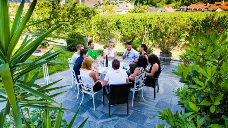 Group of people at an outdoor wine tasting surrounded by vineyards.