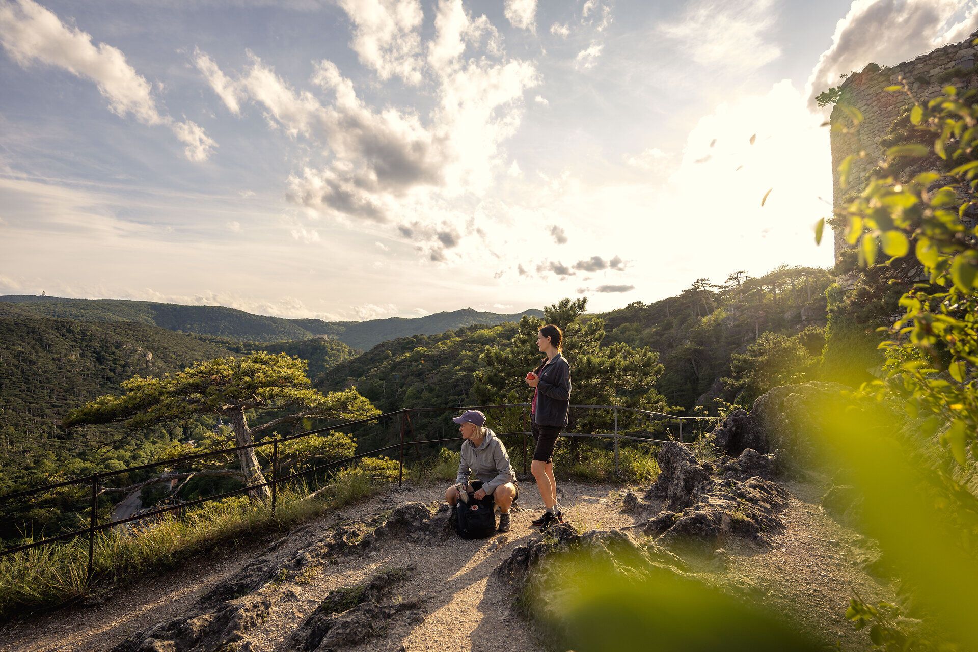 The rolling hills of the Vienna Woods stretch majestically in the background, while the warm rays of the sun embrace hikers. Surrounded by fragrant pine trees and the soothing sound of nature, this place invites you to unwind and enjoy the breathtaking view.