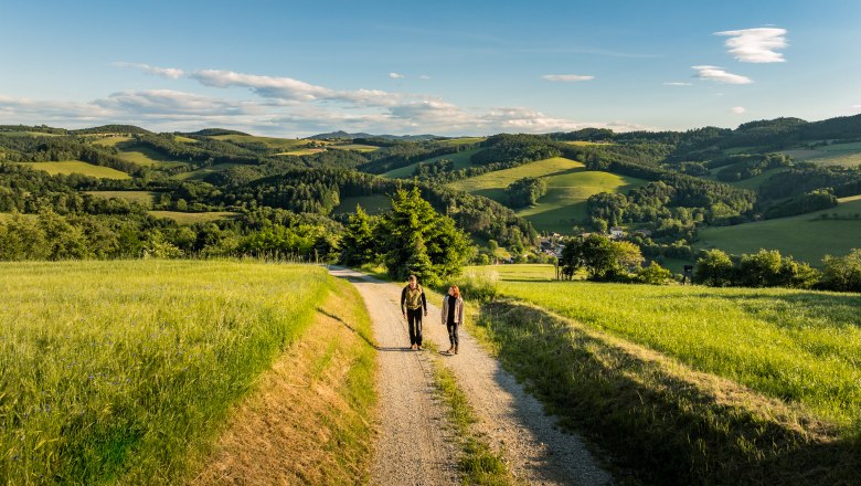 Two people walk along a gravel path through a hilly landscape of green fields and forests under a blue sky.