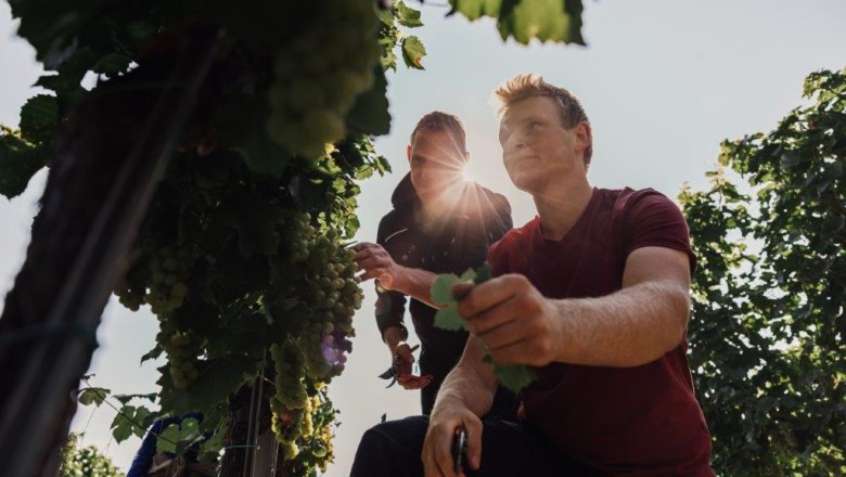 Altenriederer fruit farm, © Monika Jungwirth, Karma & Pitch