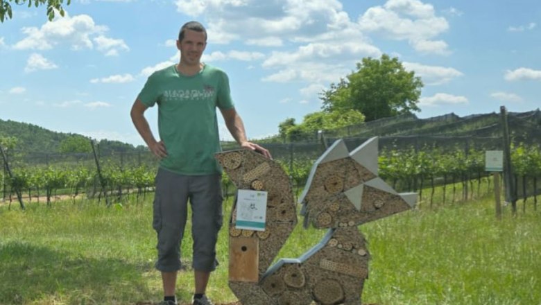 Viticulture Manuel Fuchs, &copy; Manuel Fuchs