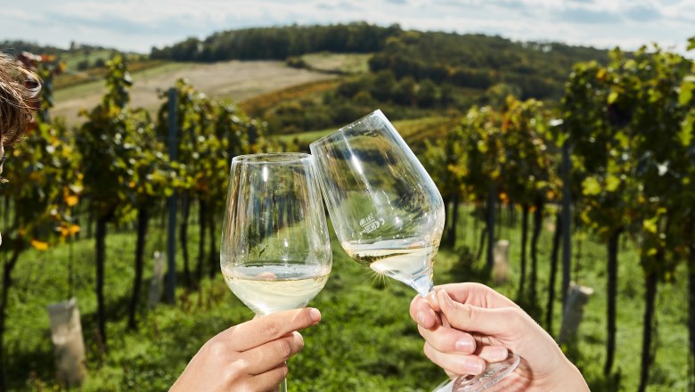 Two people clink glasses in a vineyard.