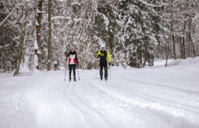 Two people cross-country skiing on a snow-covered forest trail.