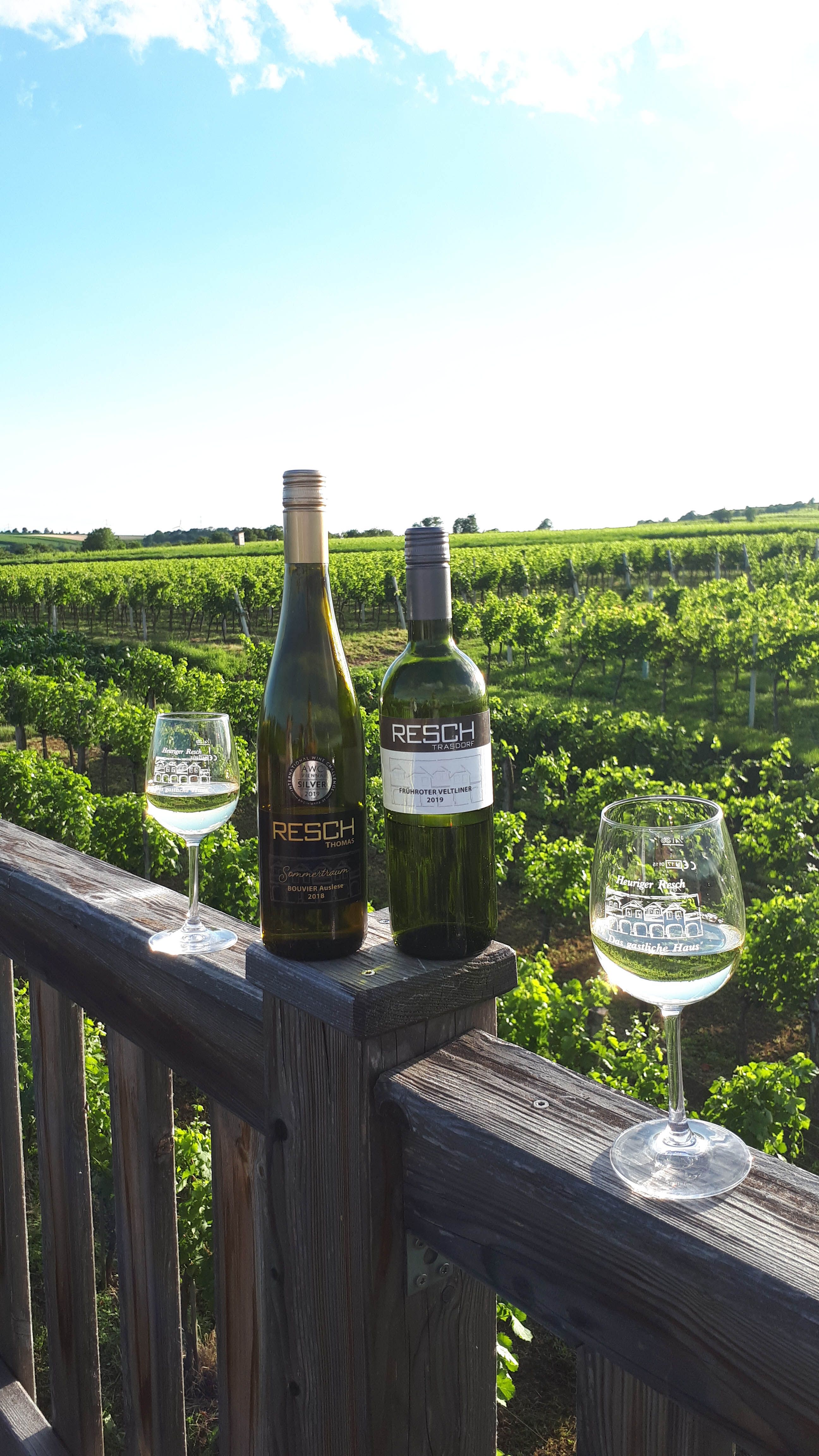Two wine bottles and two wine glasses on a wooden fence in front of a vineyard.