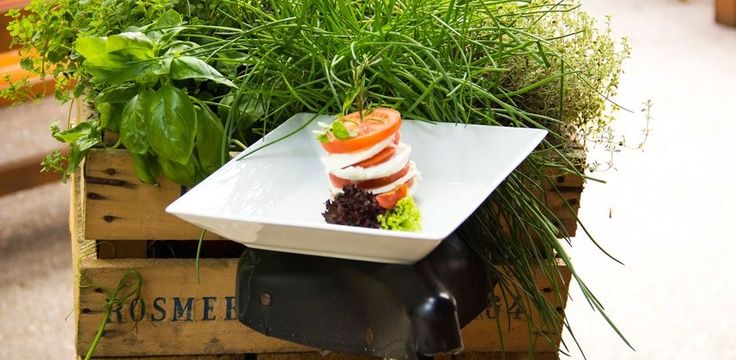 A plate of tomato and mozzarella salad on a wooden crate with fresh herbs.