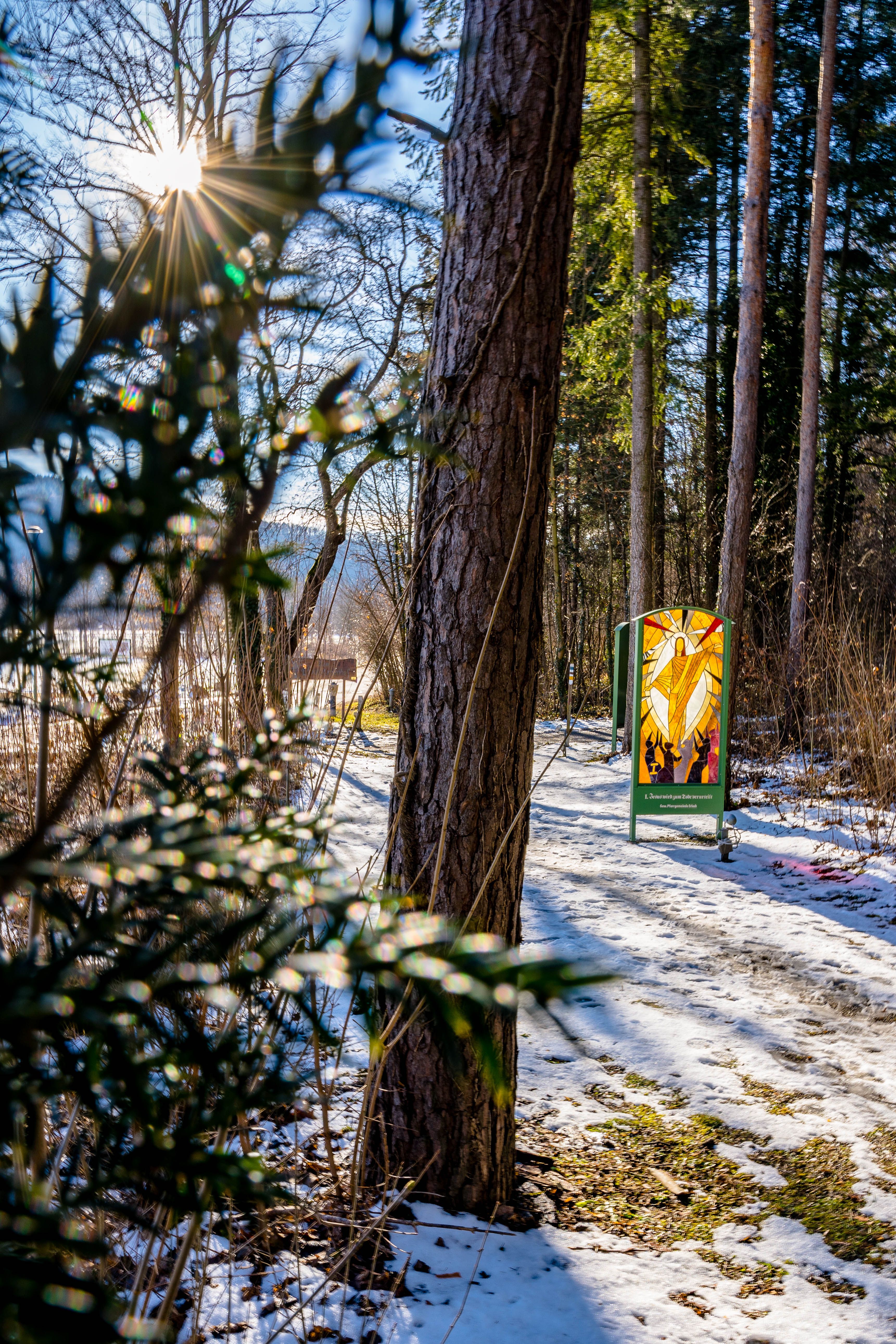 Winter forest path with sun and religious picture made of glass.