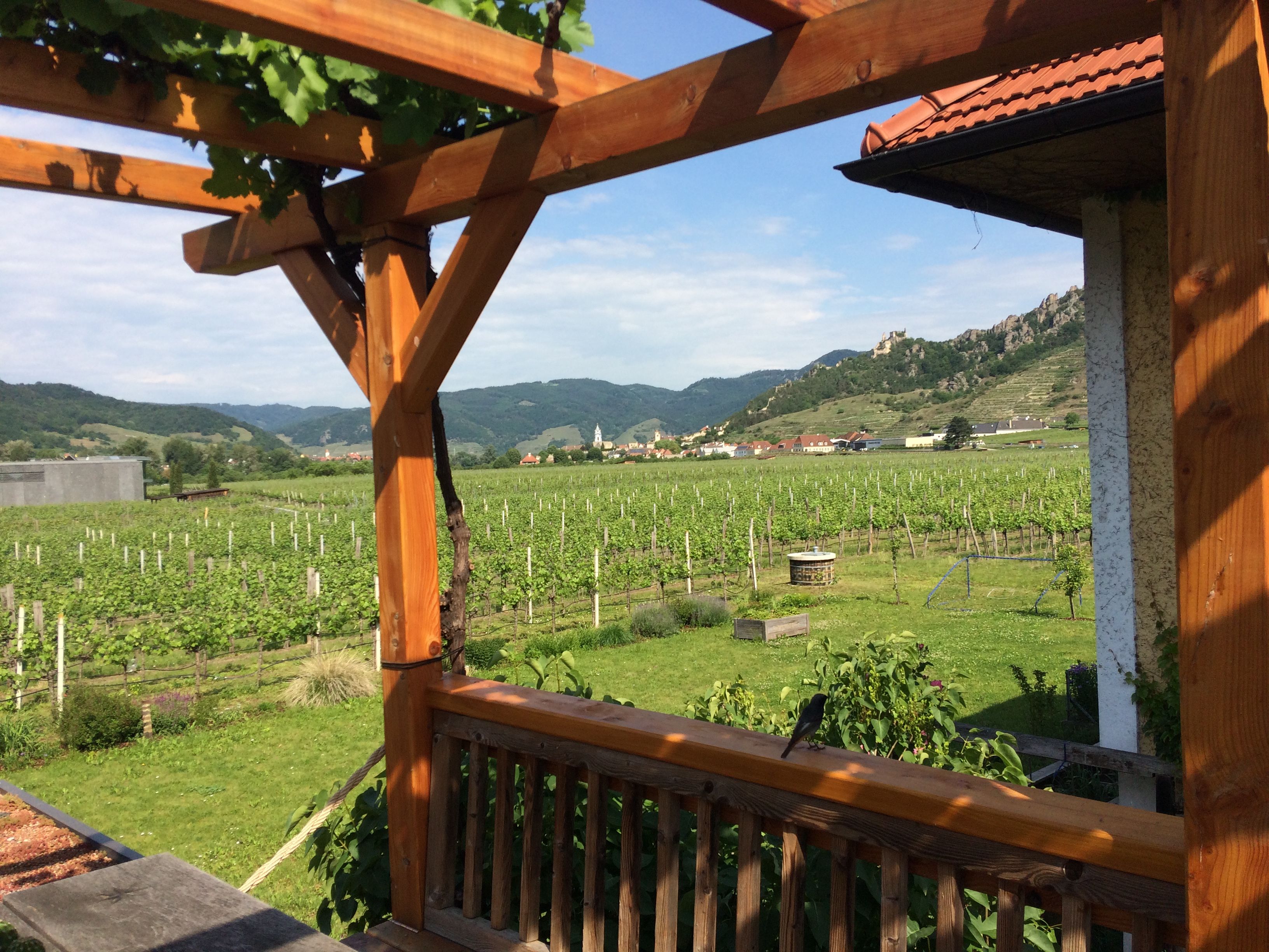 View from the terrace