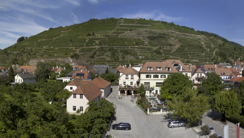 Panorama of a village with vineyards in the background.