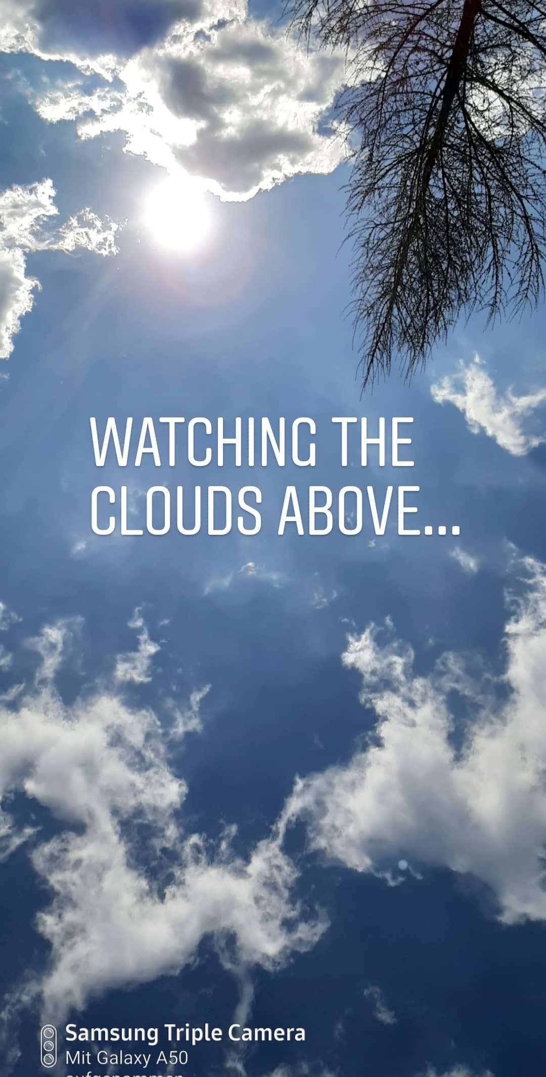 View of the sky with clouds and sun, tree branches at the edge.