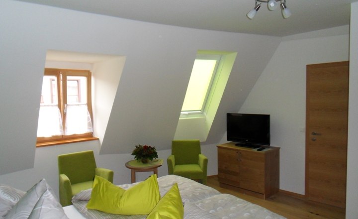 Bright room with skylights, bed, green armchairs and TV.