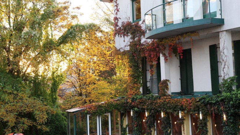 Exterior view of a house overgrown with ivy and autumn trees in the background.