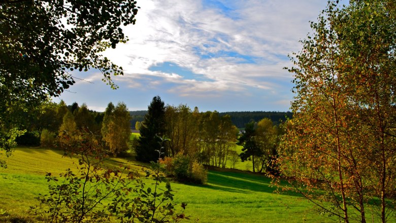 Surroundings of Hörmanns, © Litschau