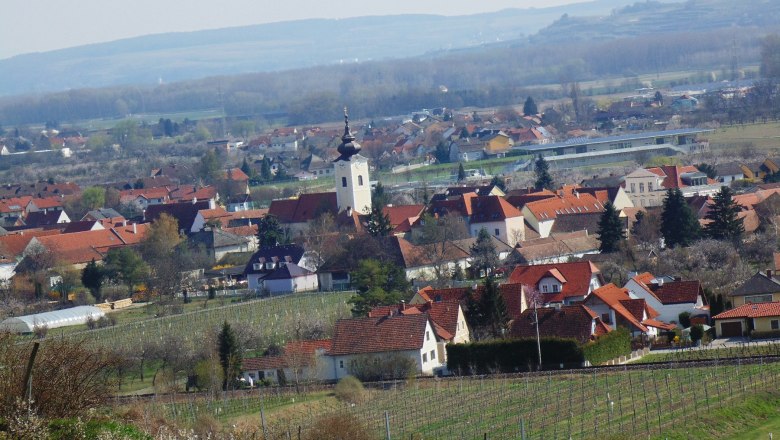 View of Rohrendorf with church and vineyards in the foreground.
