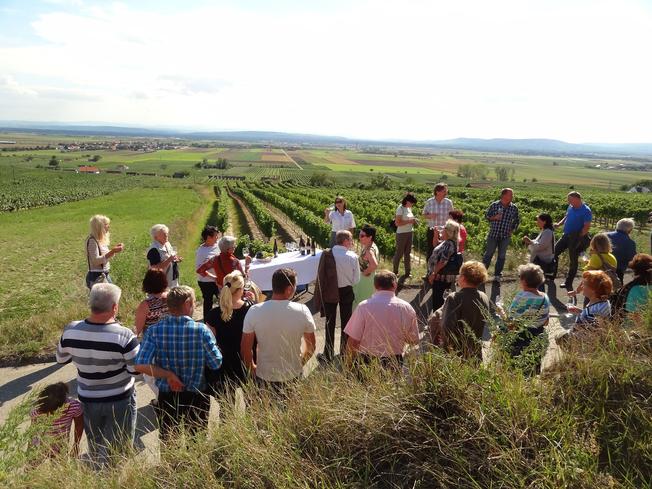 Group of people at an outdoor wine tasting surrounded by vineyards.