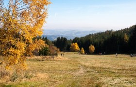 Blick von der Mönichkirchener Schwaig, © Unknown