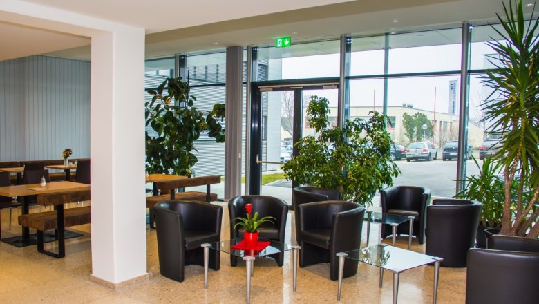 Interior view of a modern caf&eacute; with black leather armchairs and glass tables, surrounded by large plants and windows.
