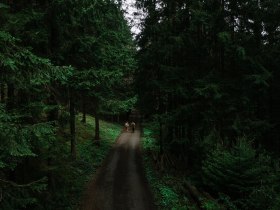Lebensweg, Wandern, Weitwandern, &copy; Waldviertel Tourismus, Melanie T&ouml;bbe