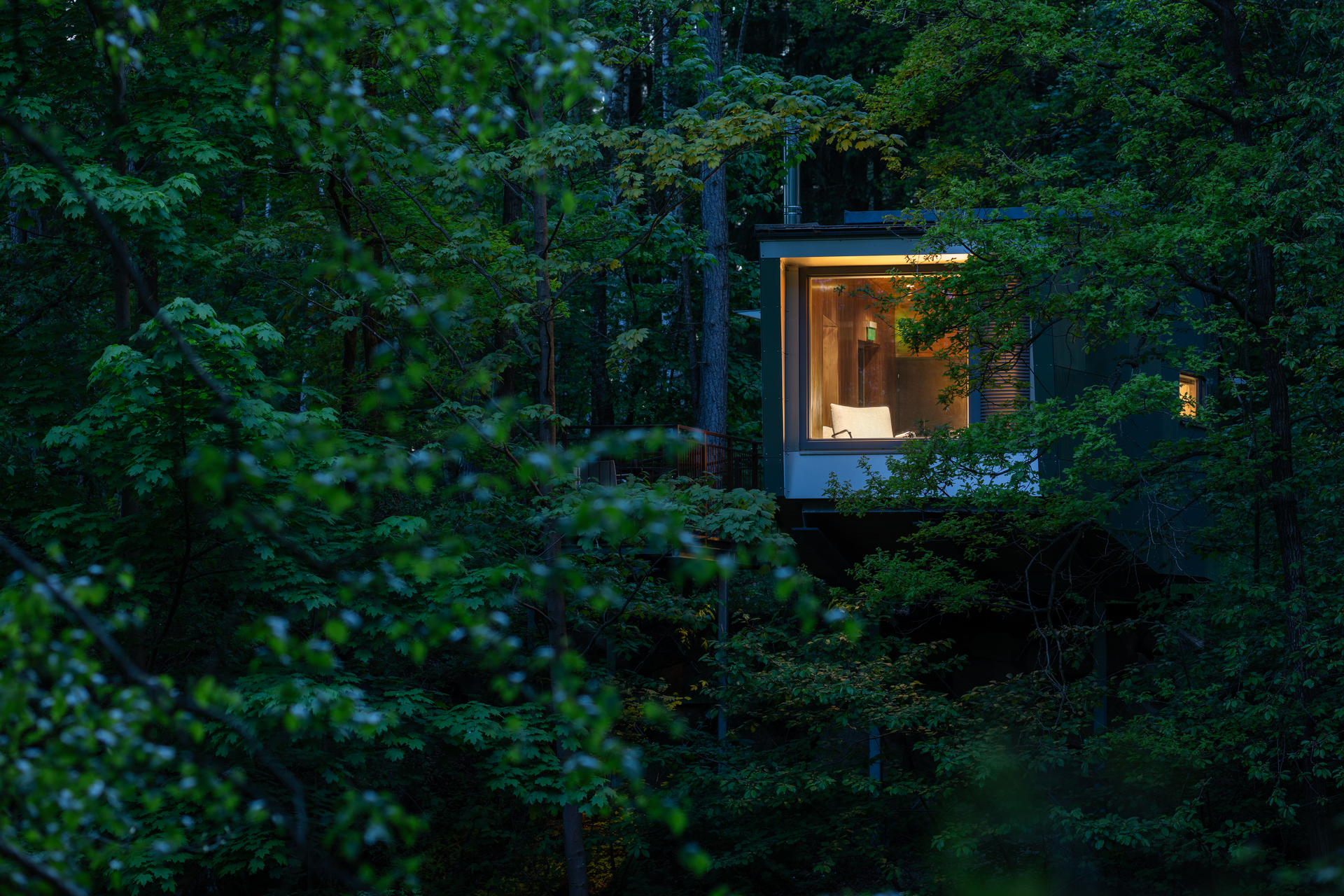 An illuminated tree house in a dense forest at dusk.