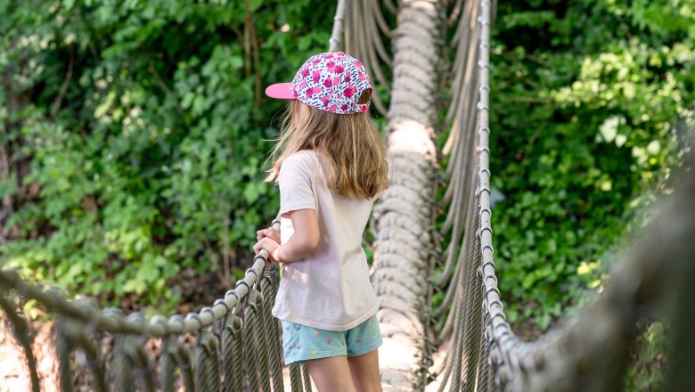 Child on suspension bridge