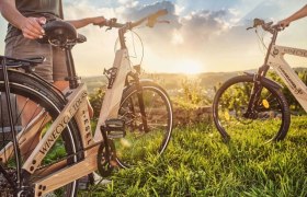 Guided tours with the Holz e-bike, &copy; WinEcycle Tours