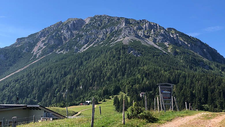 View of a mountain with a green forest and rocky peak under a blue sky.