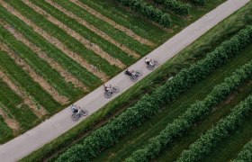 Flat cycle path with highlights, © Niederösterreich Werbung/Eliska Hudcová