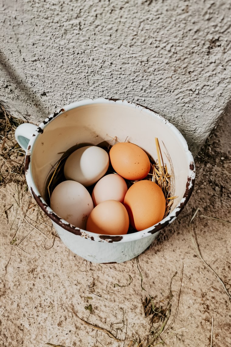 Fresh eggs for breakfast, © Maunzimadame