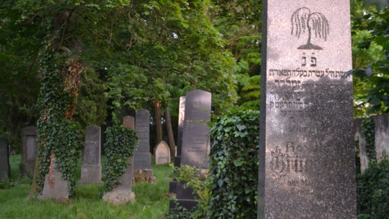 Jewish cemetery in Hollabrunn with old gravestones and ivy-covered trees.