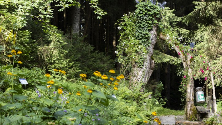 TVA Produktions- und Vertriebs GmbH, &copy; Theo Kust