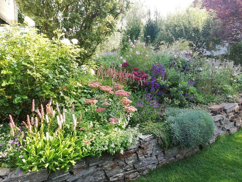 A lush garden with various flowering plants and shrubs on a stone terrace.