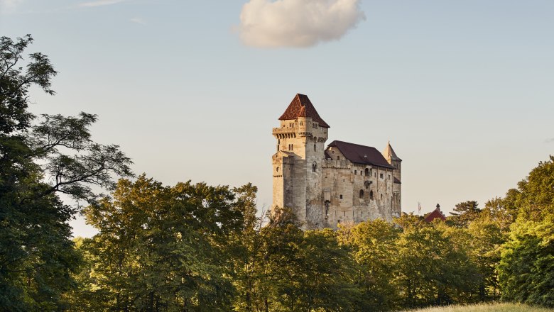 Dreamlike view of Liechtenstein Castle, © Wienerwald Tourismus, Andreas Hofer