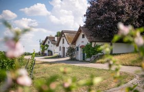 Kellergasse Höflein, © Donau Niederösterreich - Tourismusbüro Carnuntum-Marchfeld