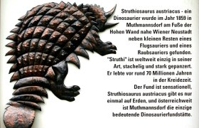 Relief of an armored dinosaur with text about the Struthiosaurus austriacus.