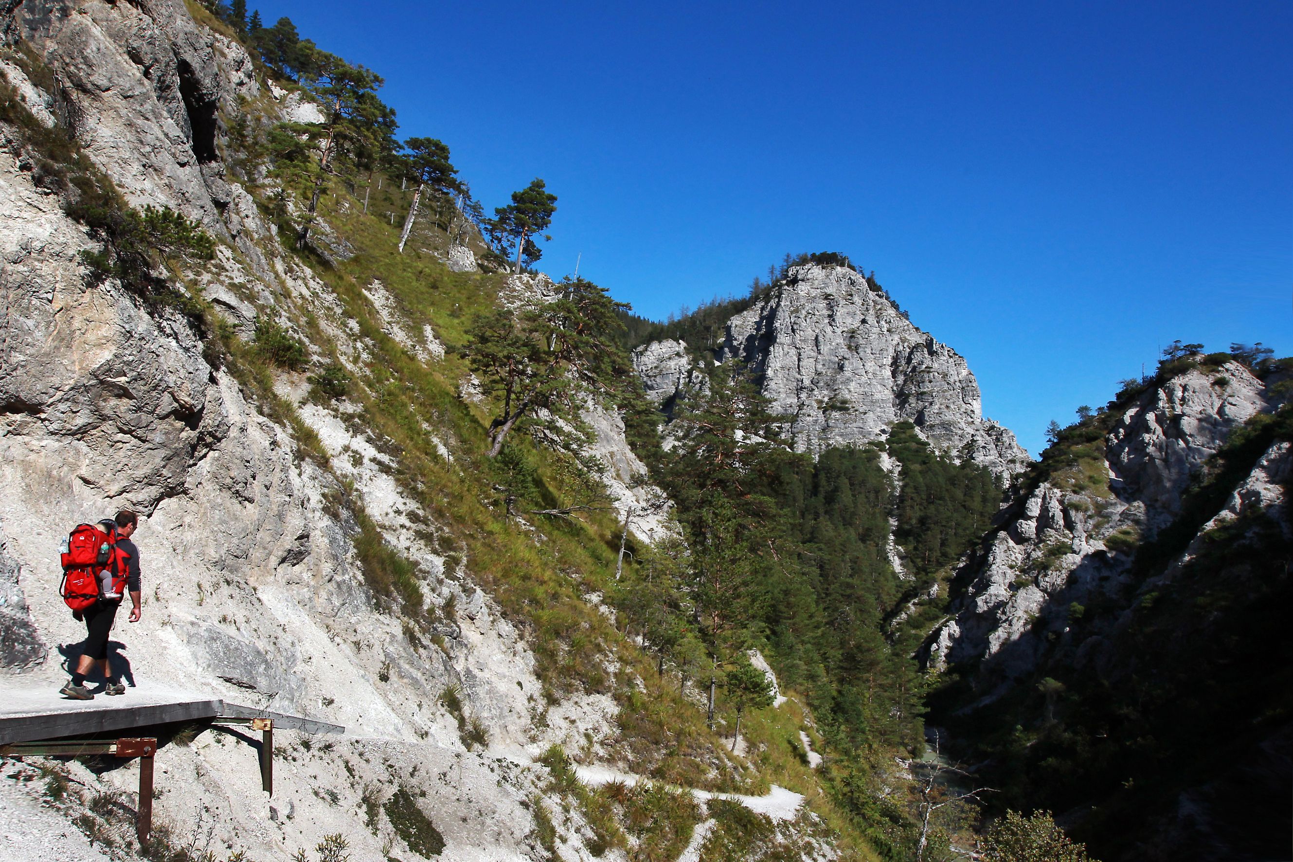 Person hikes along a narrow path in the Ötschergräben, surrounded by steep rock faces and pine trees, under a clear blue sky.