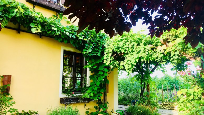 A yellow house with vines and garden furniture in the foreground.