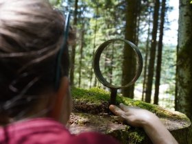 Geschichtenweg Lackenhof - Tut Gut Route 1, &copy; (C) Zunder Zwo