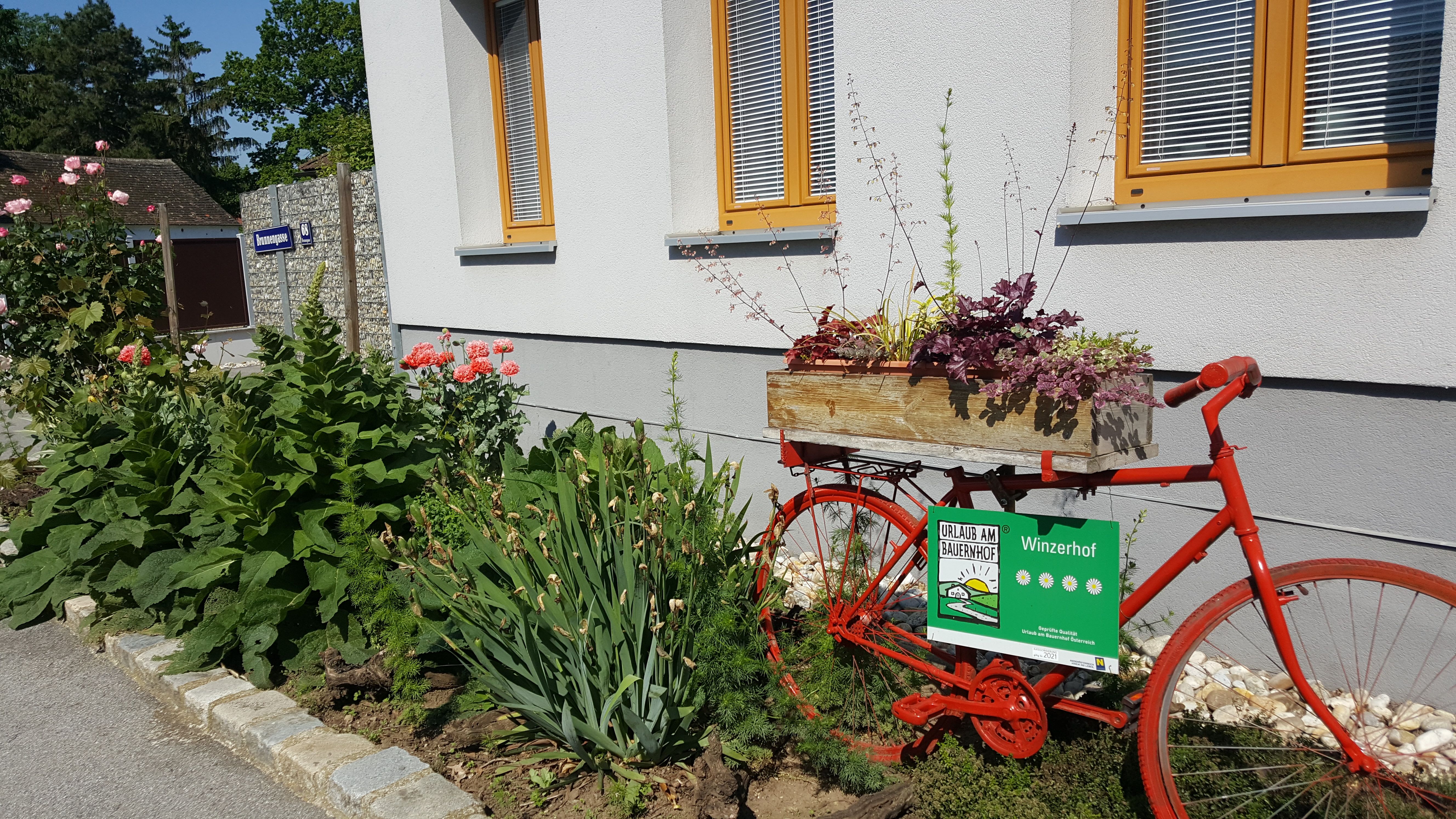 A red bicycle with a flower box stands in front of a building with a garden.