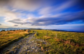 On the road on the Hochwechsel, &copy; Wiener Alpen in Nieder&ouml;sterreich