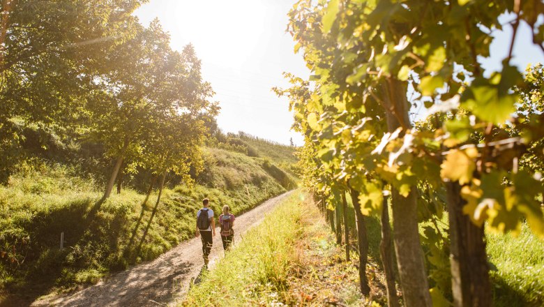 Long-distance hiking in Kremstal, Krustetten, © Donau Niederösterreich/schwarz-koenig.at