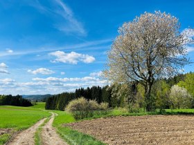 Weitra, &copy; Unknown