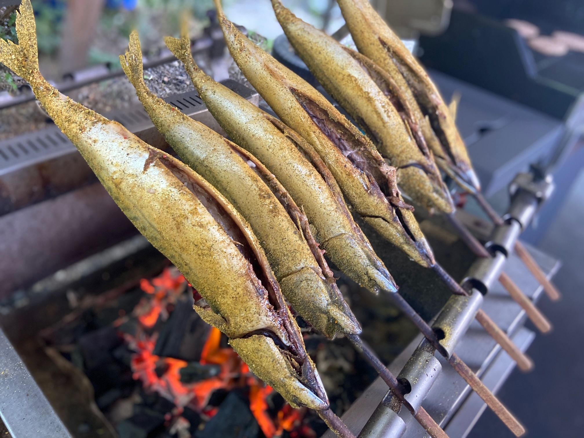Plugged fish on a grill over glowing coals.