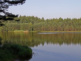 Bruneiteich, &copy; Horst Zimmel