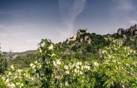 Dürnstein in spring, © Robert Herbst