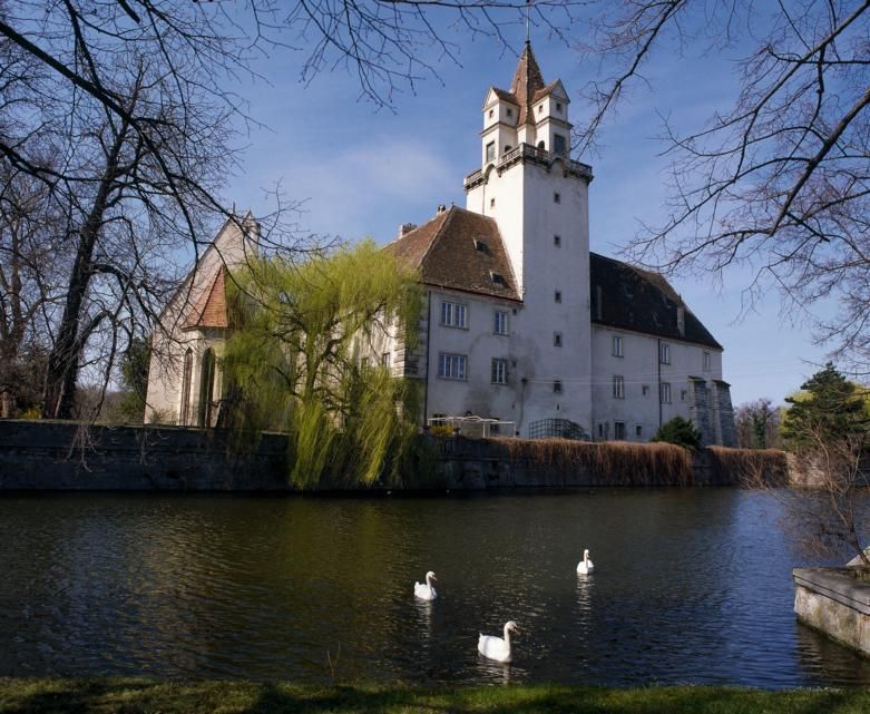Ebreichsdorf Castle with pond and swans in the foreground.