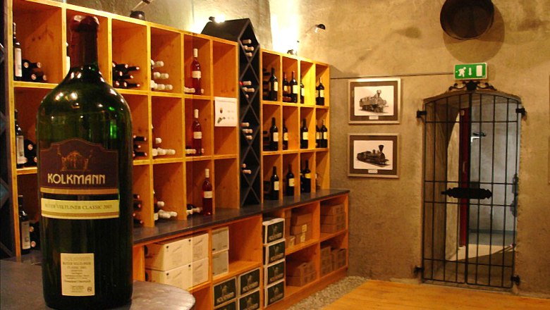 Wine cellar with shelves full of wine bottles and a large bottle in the foreground.
