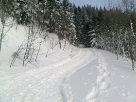 Schneeschuhwandern auf den Faden am Schneeberg, &copy; Wiener Alpen in Nieder&ouml;sterreich - Schneeberg Hohe Wand