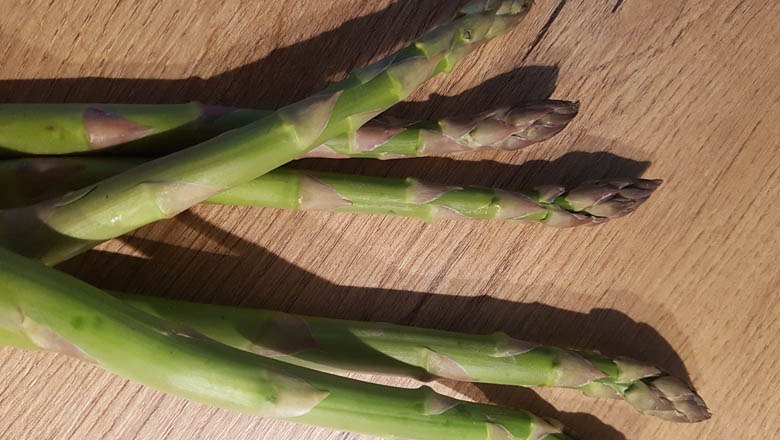 Asparagus, &copy; Weinviertel Tourismus